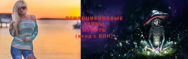 ПСИЛОЦИБИНОВЫЕ ГРИБЫ Наволоки