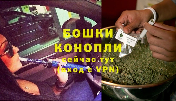 ПСИЛОЦИБИНОВЫЕ ГРИБЫ Наволоки