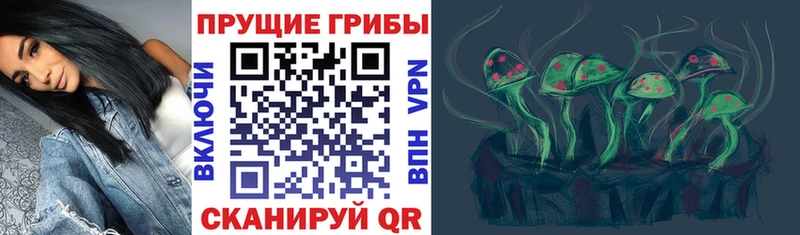 Псилоцибиновые грибы прущие грибы  Мурино 