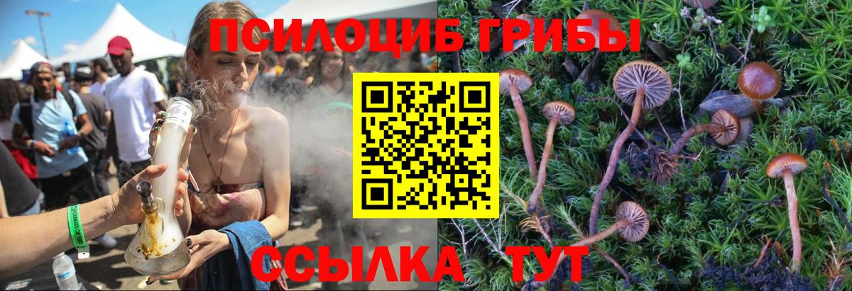 Псилоцибиновые грибы GOLDEN TEACHER Мурино