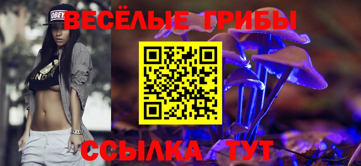 Псилоцибиновые грибы ЛСД  где купить наркоту  Мурино  Галлюциногенные грибы прущие грибы  Вход с VPN 